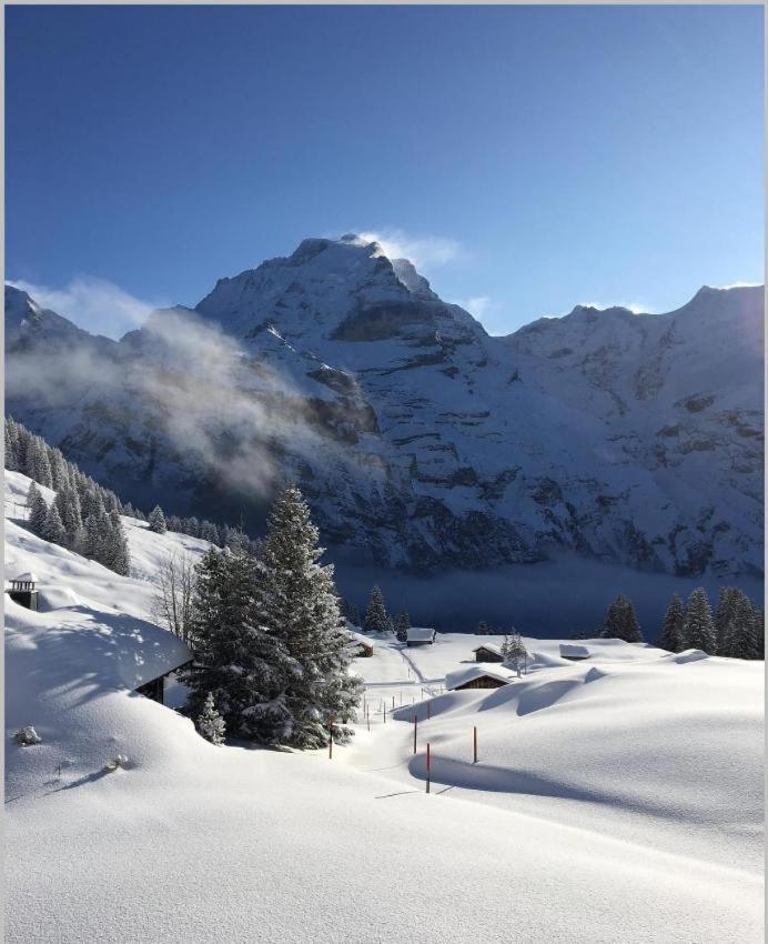 Sonnenberg Dormitories Murren Bagian luar foto